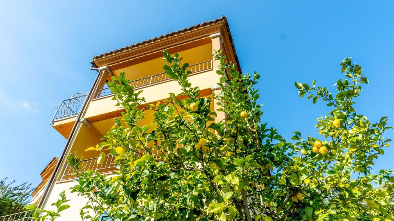 Appartamenti Dodi Lt - Pms Casevacanze Будони Экстерьер фото