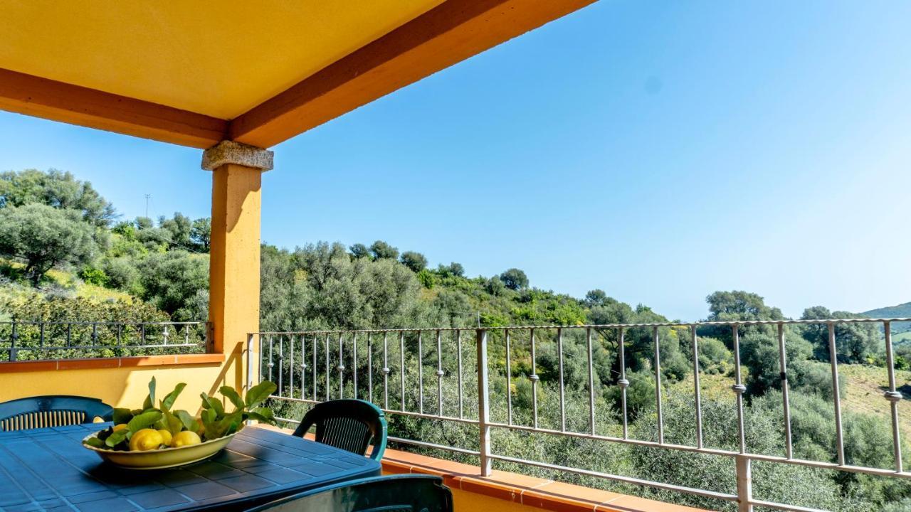 Appartamenti Dodi Lt - Pms Casevacanze Будони Экстерьер фото